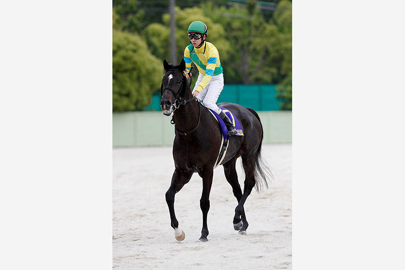 2018年 サクセスエナジー　キャリア10戦目の重賞初挑戦で優勝