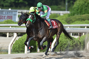 過去5年の競走成績 04