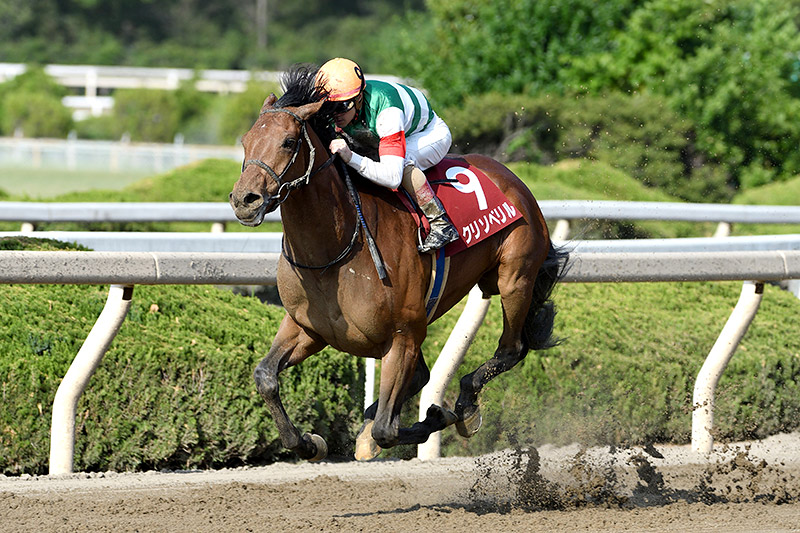 2019年 クリソベリル レースレコード・タイで圧勝