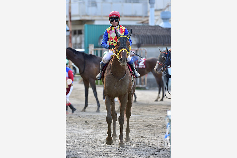 2018年 テーオーエナジー　岩田騎手は単独最多の4勝目