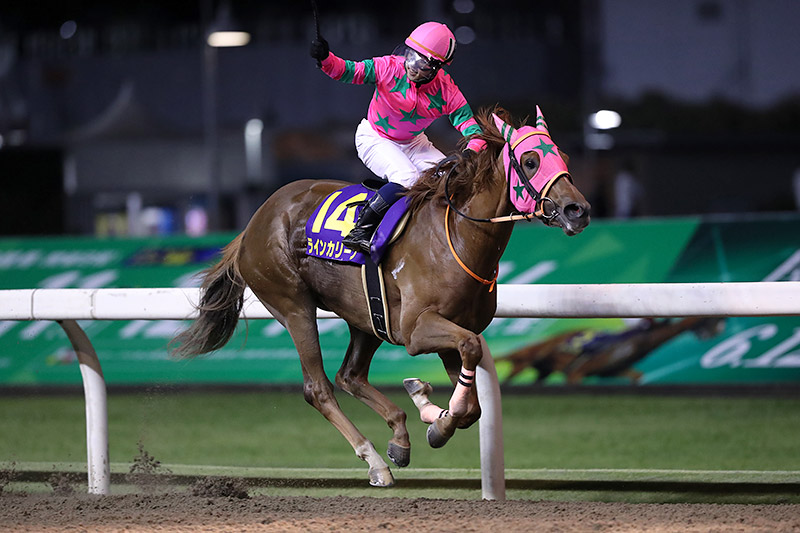 2019年 ラインカリーナ　若き鞍上が殊勲の重賞初勝利