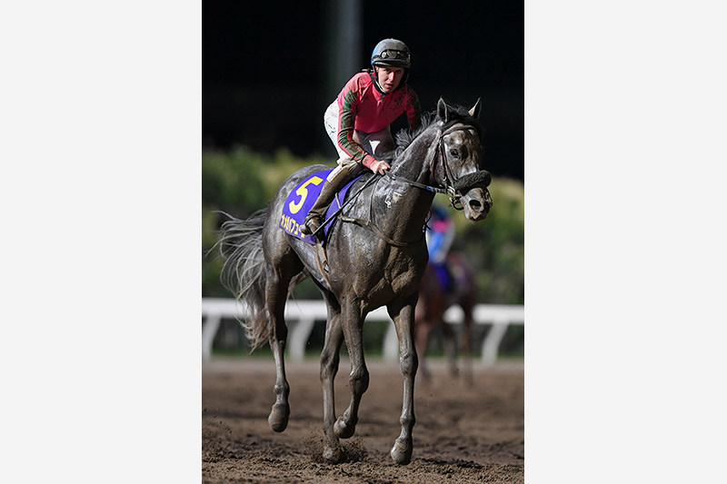 2019年 オメガパフューム 末脚発揮しジーワン2勝目