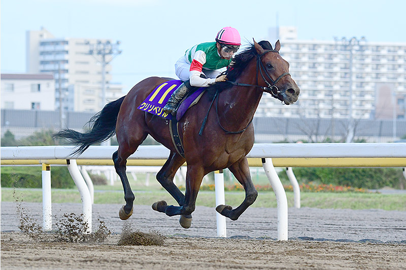 2019年 クリソベリル　無敗の3歳王者が圧勝