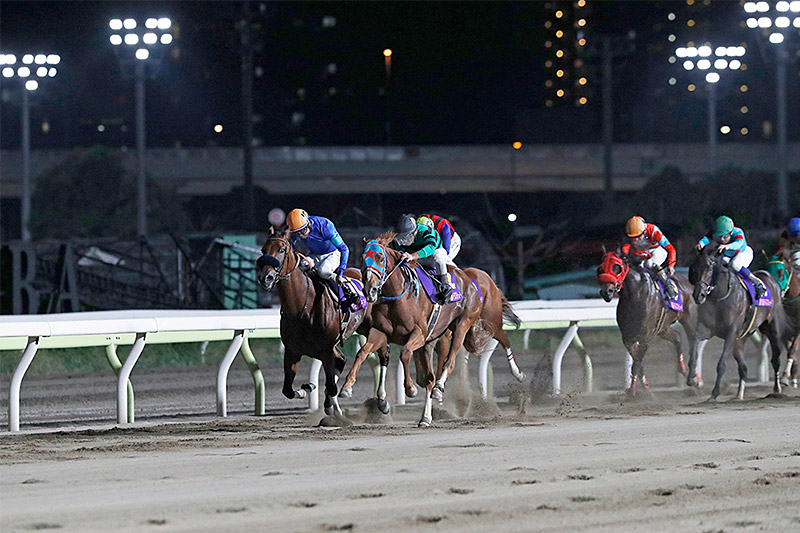 2019年 アンデスクイーン　人気馬との一騎打ちを制し重賞連勝