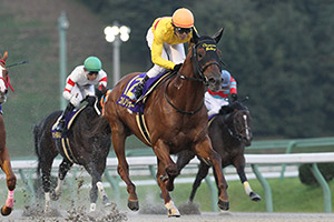過去5年の競走成績 05