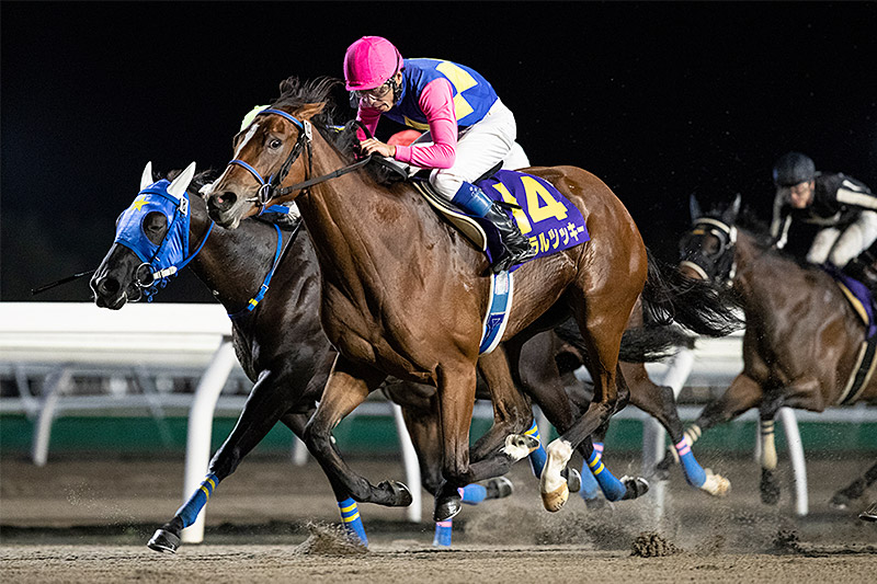 2019年 コーラルツッキー 流れに乗ってゴール前差し切る