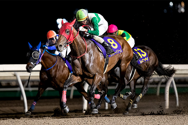2020年 ラッキードリーム 地元馬が第1回の勝者に名を刻む
