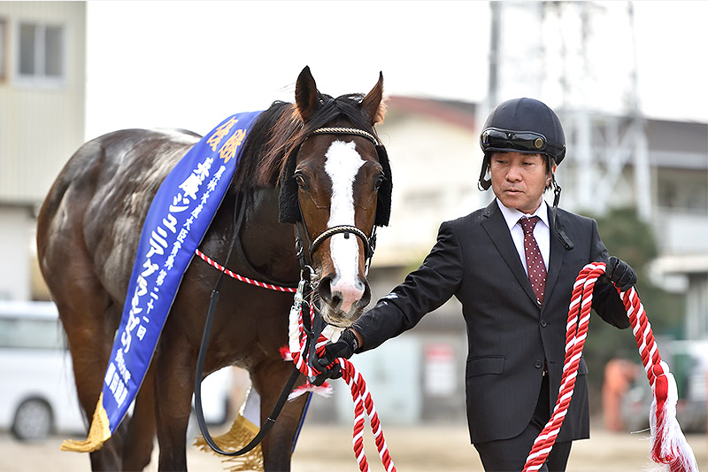 2019年 テイエムサウスダン チークピーシズ効果で走り一変