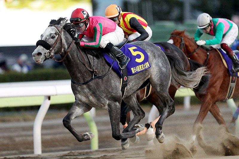 2018年 オメガパフューム　3歳馬が古馬を一蹴しGⅠ初制覇