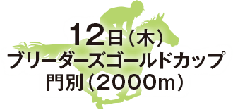 ブリーダーズゴールドカップ