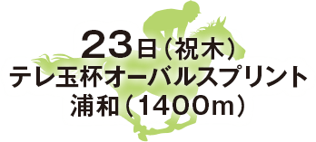 テレ玉杯オーバルスプリント