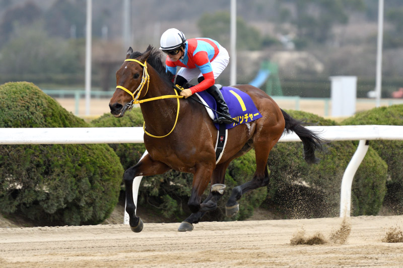 2021年 クリンチャー　レコード更新の逃げ切り勝ち