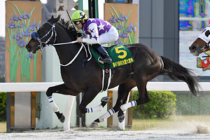 過去5年の競走成績 2018