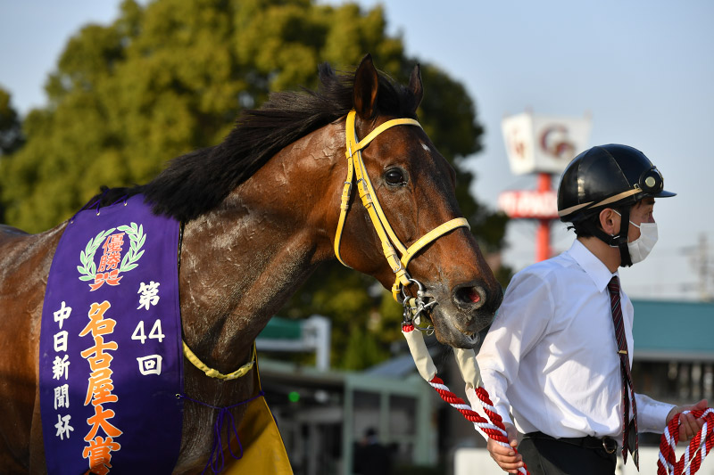 2021年 クリンチャー　余裕の連勝で目標は帝王賞