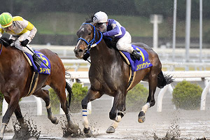 過去5年の競走成績 2018