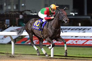過去5年の競走成績 04