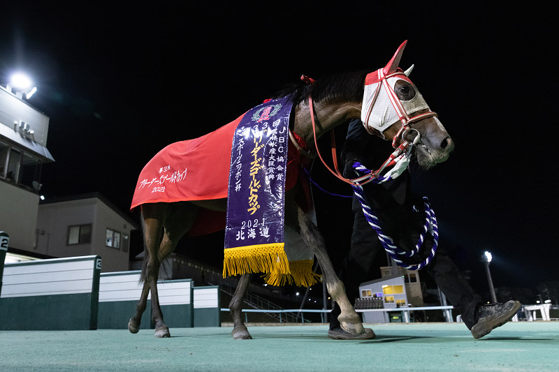2021年 マルシュロレーヌ 人気に応えダートグレード4勝目