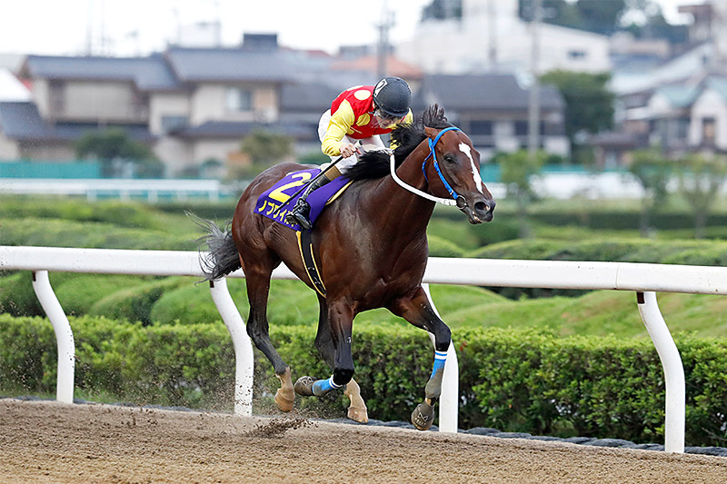 2019年 ノブワイルド 好スタートから逃げ切り連覇
