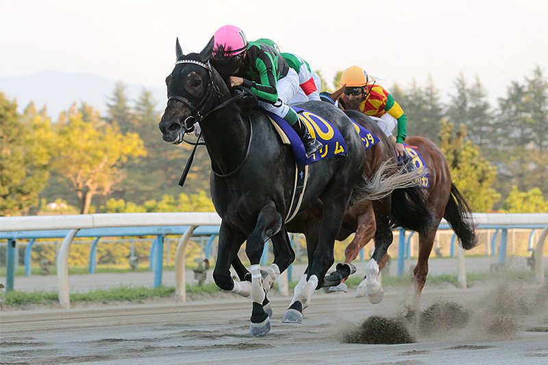 2019年 グリム　直線抜け出し連覇達成