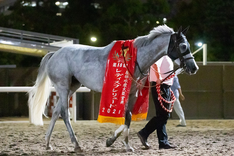 2021年 レーヌブランシュ　4コーナー先頭から突き放し完勝