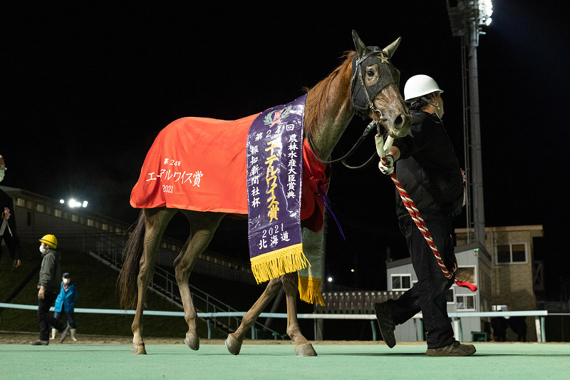 2021年 スピーディキック 重賞連勝でダートグレード制覇