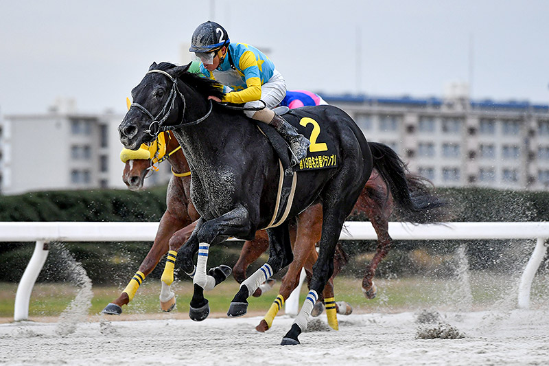 2019年 デルマルーヴル　鮮やかに差し切り惜敗続きにピリオド