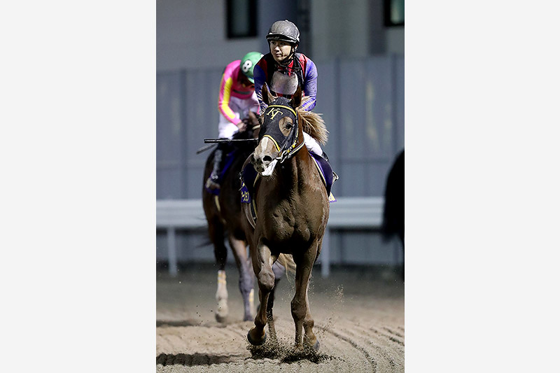 2019年 ヴァケーション　切れ味発揮し地元馬が2歳ダート王に