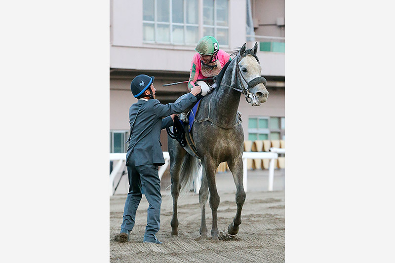 2019年 オメガパフューム　得意の大井で連覇達成