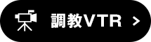 調教VTR