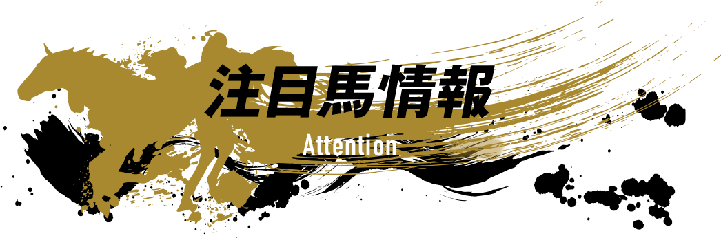 注目馬情報　Attention