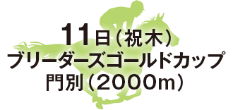 ブリーダーズゴールドカップ