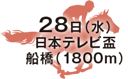 日本テレビ盃