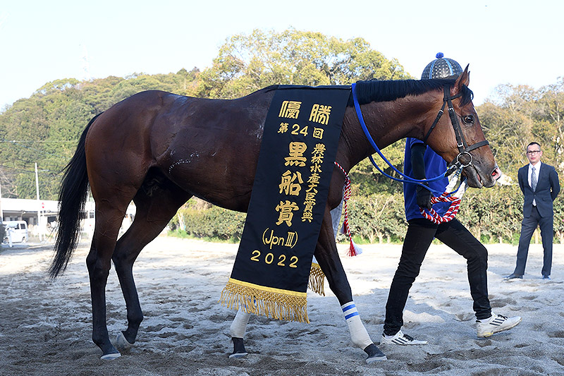 2022年 イグナイター　兵庫期待の4歳馬がDG初勝利