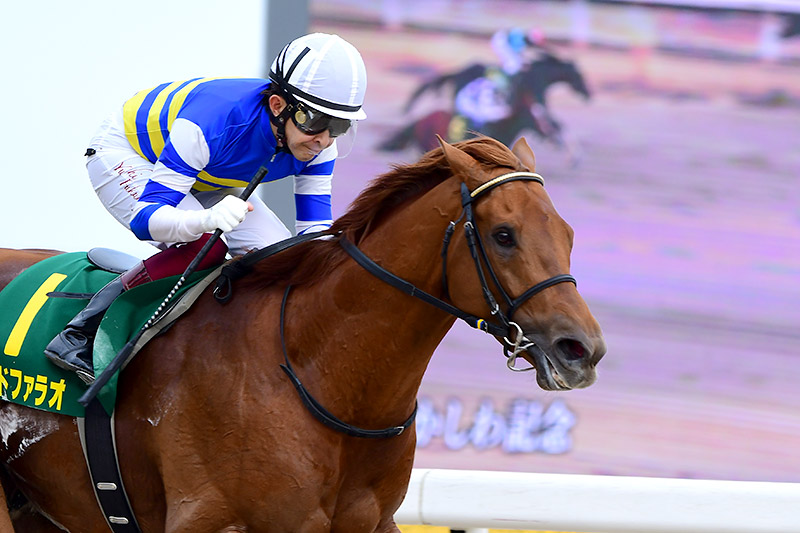 2020年 ワイドファラオ 逃げ切り完勝でジーワン初制覇