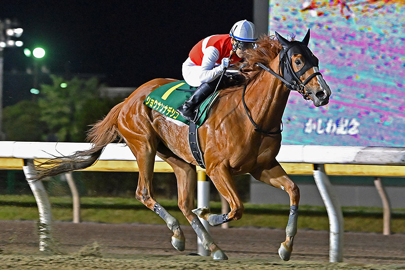 2022年 ショウナンナデシコ　3連勝で牡馬相手にJpnI制覇