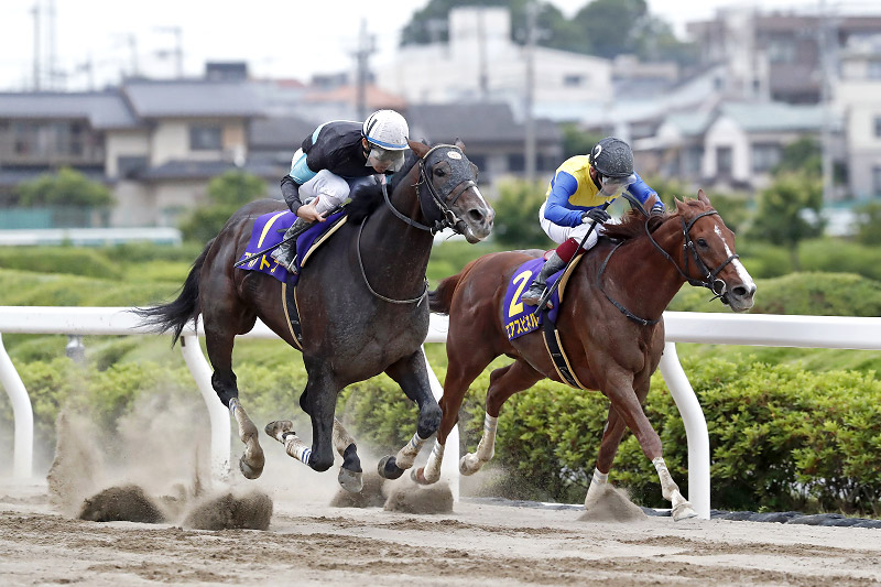 2021年 アルクトス　直線抜け出し人気にこたえる