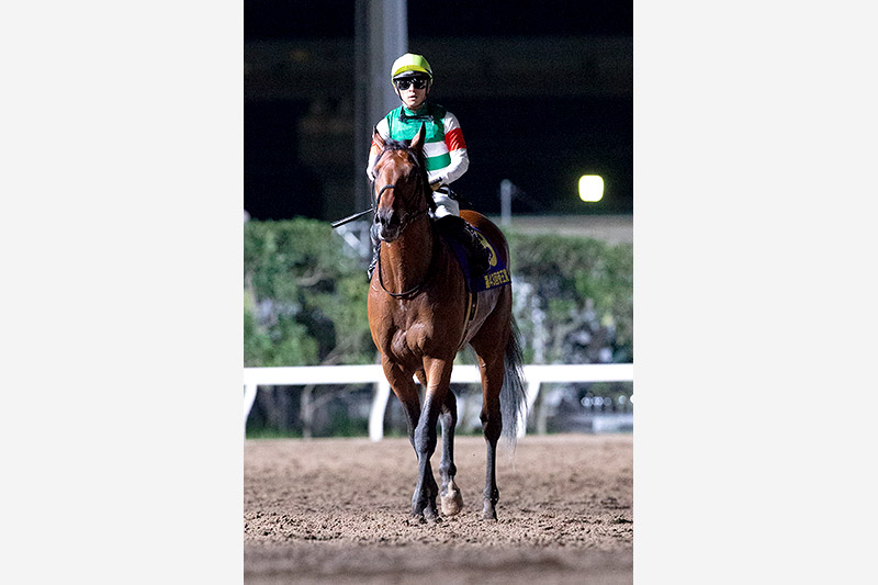 2020年 クリソベリル 国内無敗でジーワン3勝目