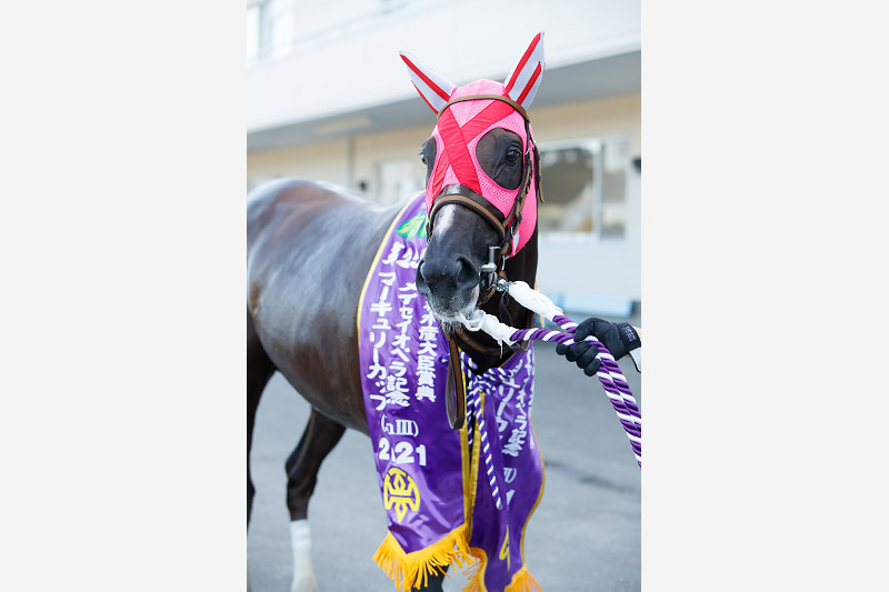2021年 マスターフェンサー 力の要る馬場を克服し連覇達成