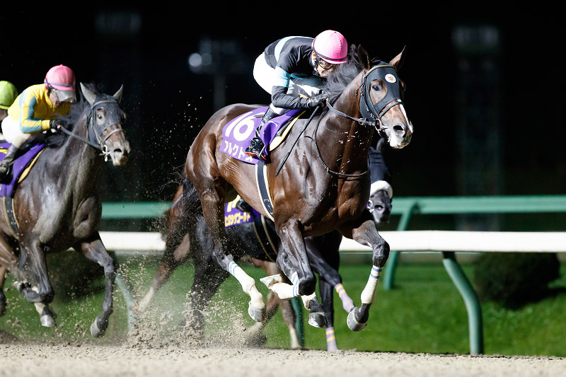 2021年 アルクトス 馬場も枠順も味方に連覇達成