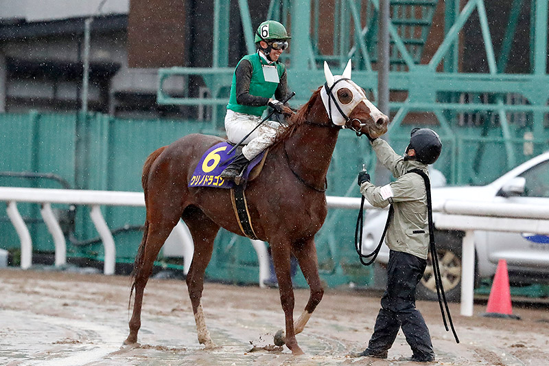 2022年 クリノドラゴン 遅咲きの4歳馬が重賞初制覇