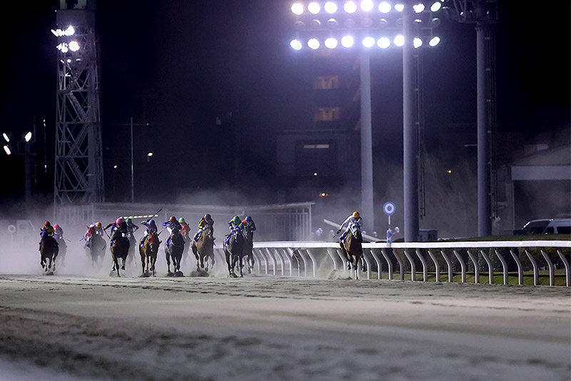 2020年 アランバローズ　強気の逃げで5馬身差圧勝