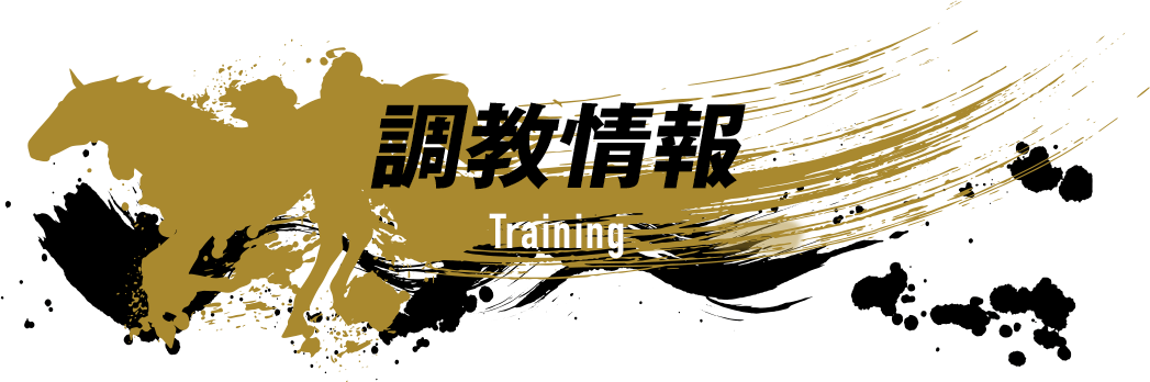 調教情報　Training