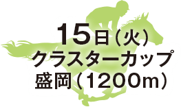 ブリーダーズゴールドカップ