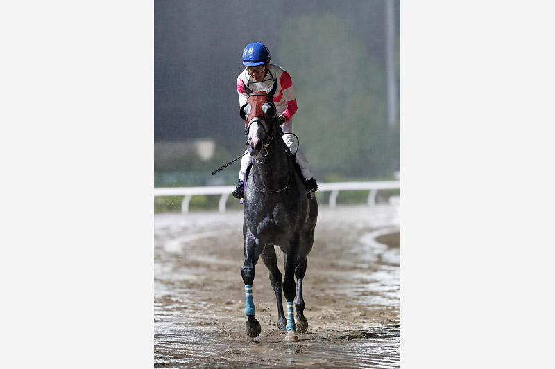 2021年 リュウノユキナ　北海道デビュー馬が6歳で素質開花