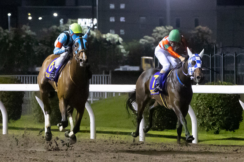 2021年 ウェルドーン 逃げ馬を直線外からとらえる