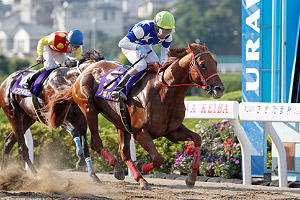 過去5年の競走成績 01