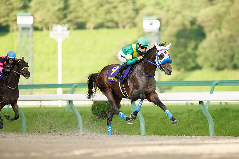2023年 ウィルソンテソーロ 人気にこたえ4馬身差圧勝