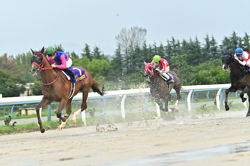2021年 メイショウカズサ 不良馬場を味方に後続を寄せ付けず