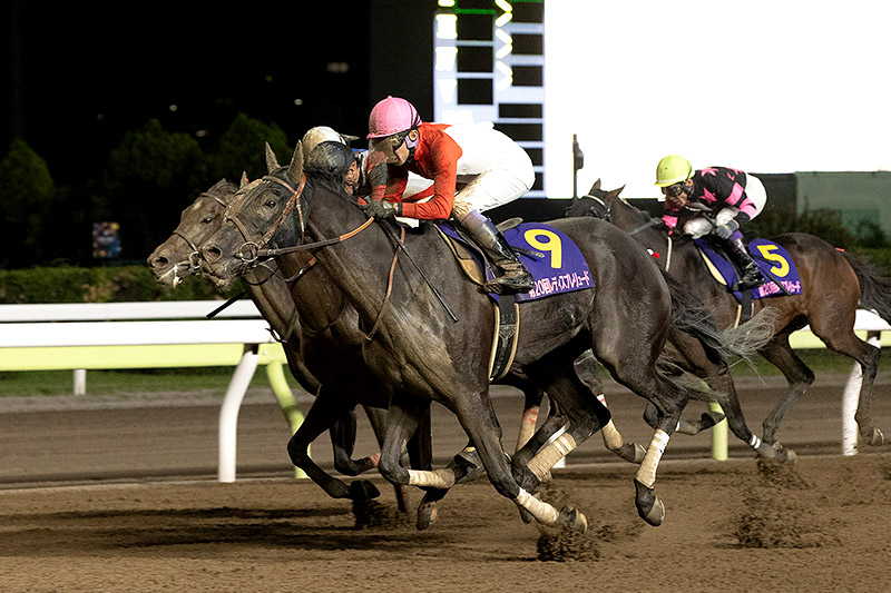 2023年 アーテルアストレア 末脚勝負でゴール前接戦を制す