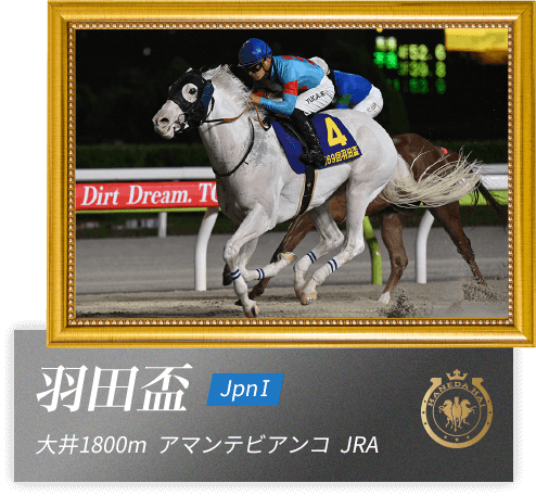 羽田盃　大井1800m　アマンテビアンコ